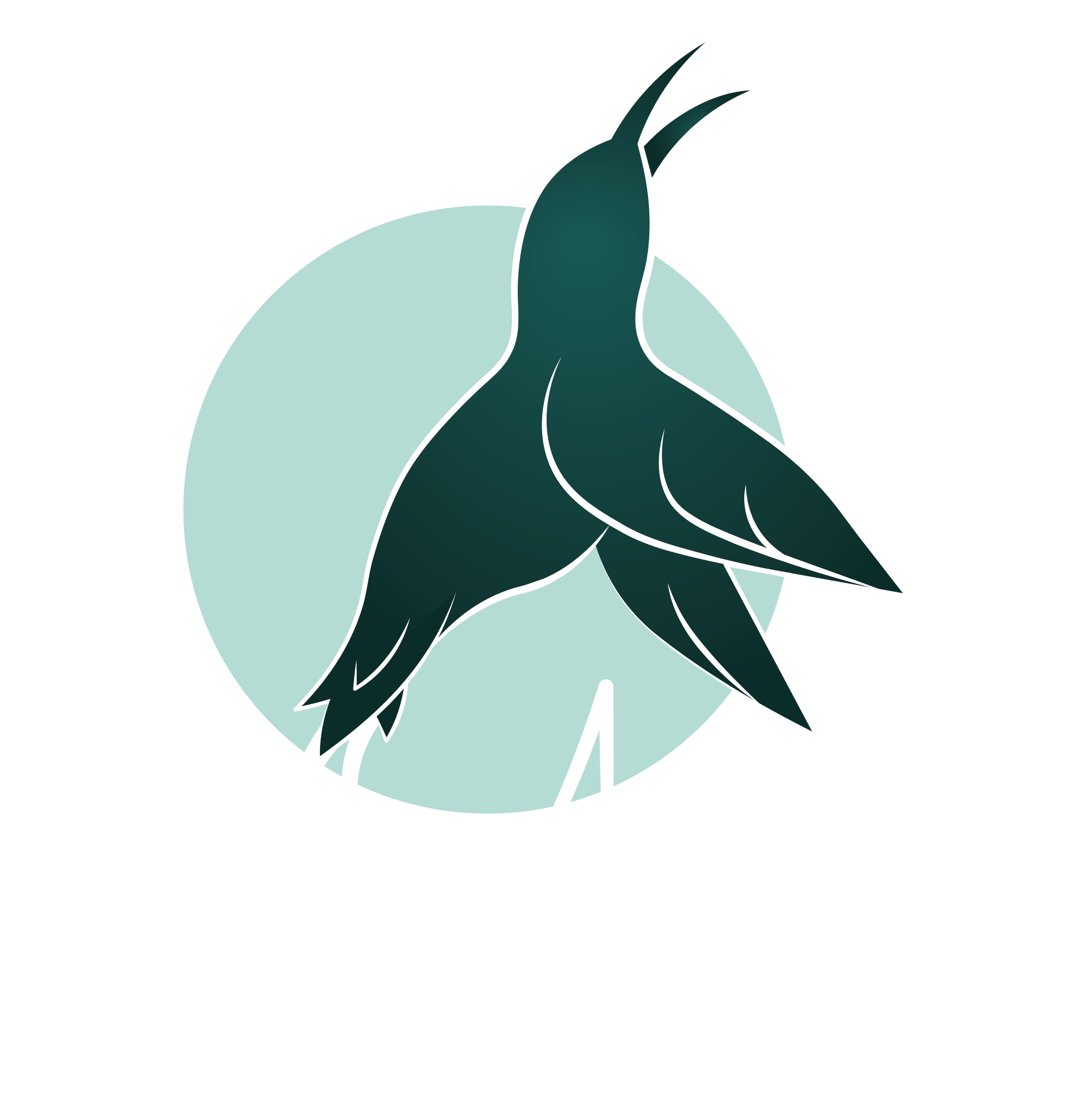 Aves Vocal